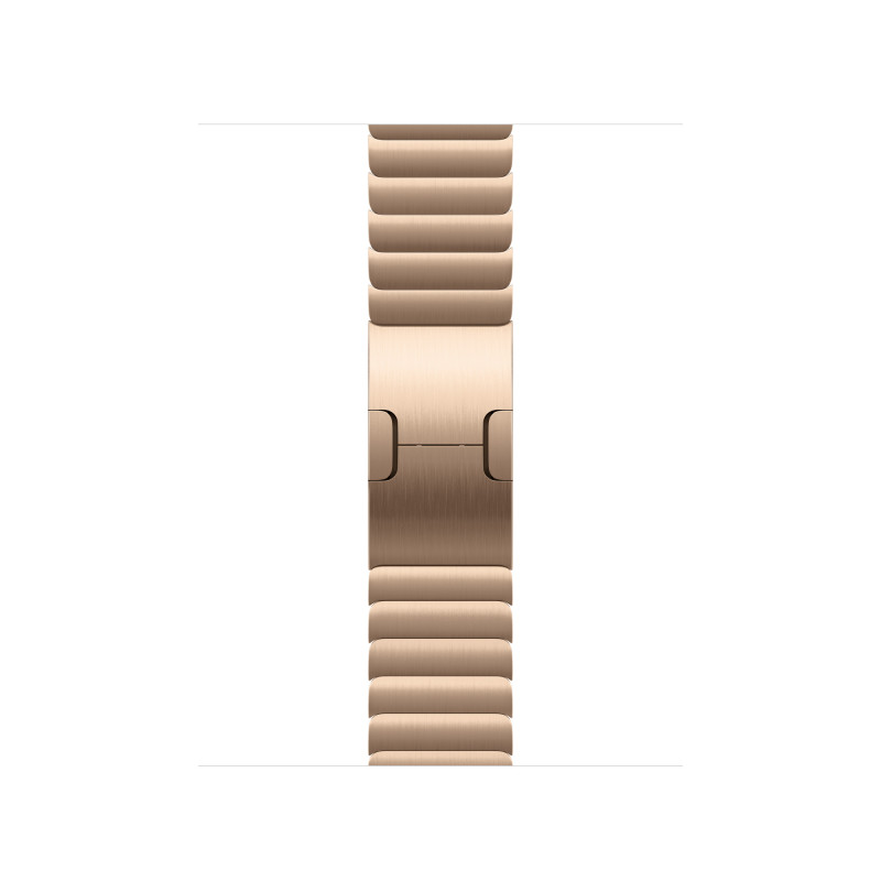 Watch Acc/42/Gold Link Bracelet