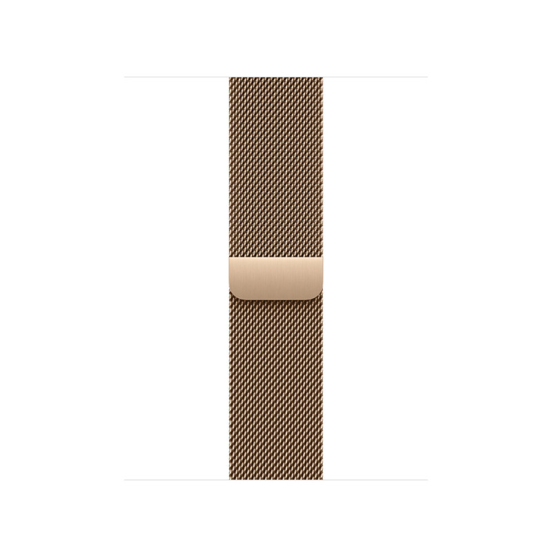 Watch Acc/42/Gold Milanese Loop