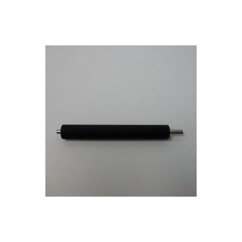 Platen Kit TT 12 dots/mm (300 dpi) ZD420
