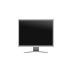 EIZO FlexScan/S2134/21,3''/IPS/1600x1200/60Hz/6ms/Gray/5R