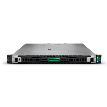 HPE DL320 G11 4410 MR408i-o 8SFF Zvr