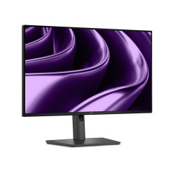 Dell Pro P/P2426HE/24''/IPS/FHD/120Hz/5ms/Čierna/3RNBD
