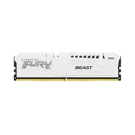 Kingston FURY Beast White/DDR5/32GB/5600MHz/CL40/1x32GB/White