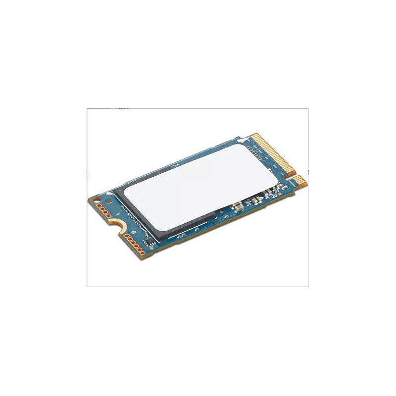 Lenovo ThinkPad/1TB/SSD/M.2 NVMe/1R