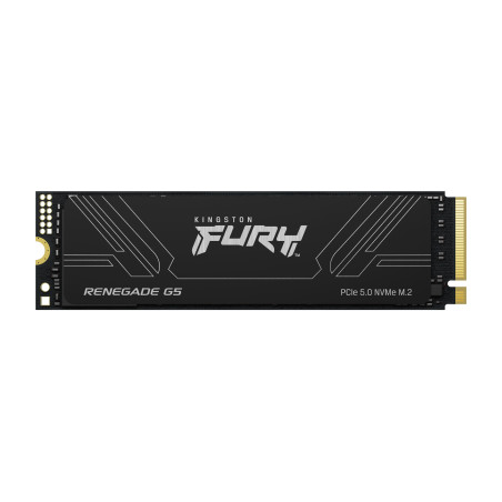 Kingston Fury Renegade G5/4TB/SSD/M.2 NVMe/Čierna/Heatsink/5R