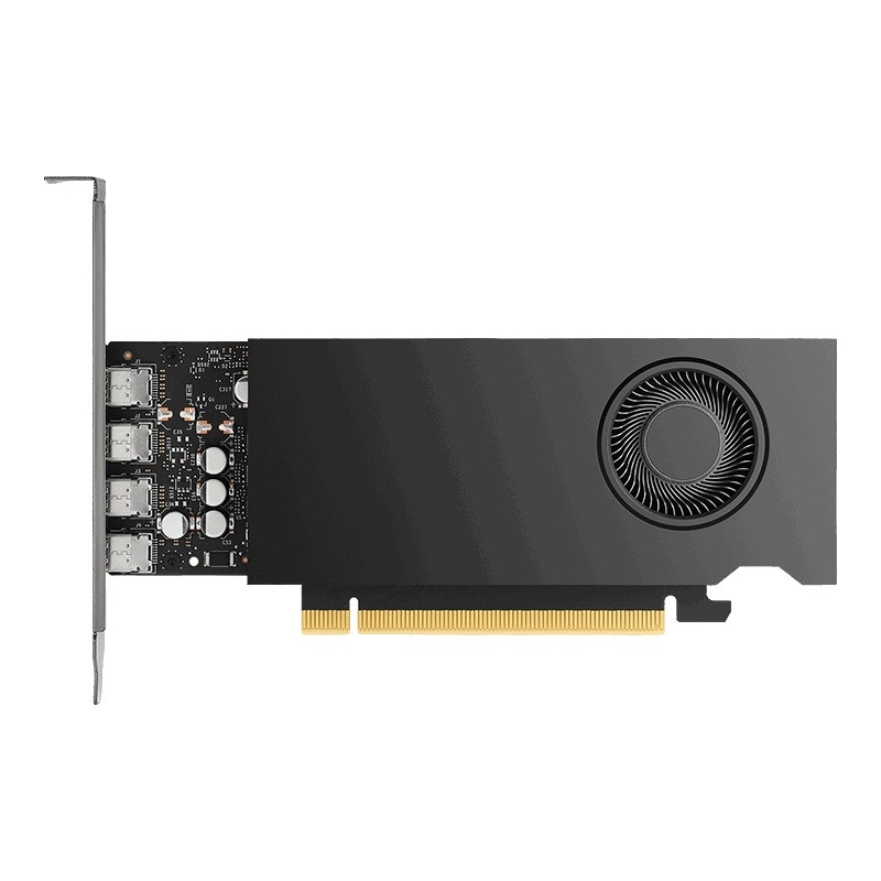 HP GFX NVIDIA RTX 2000 ADA 16GB 4MDP