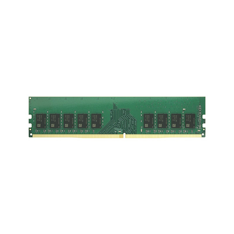 Synology D4EU02-8G