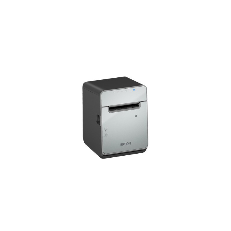 Epson TM-L100 (103)