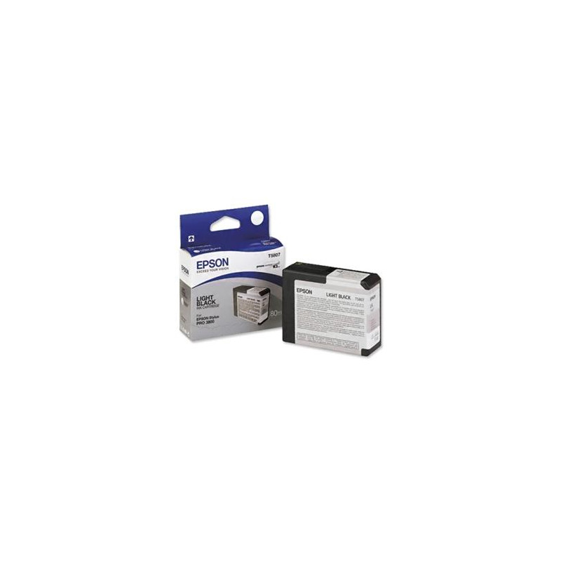 Epson T580 Light Black (80 ml)