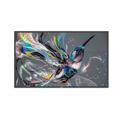 98'' D-LED Philips 98BDL3650Q-UHD, IPS, 400cd, AN, 18/7