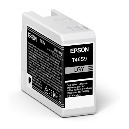 Epson Singlepack Light Gray T46S9 Ultrachrome