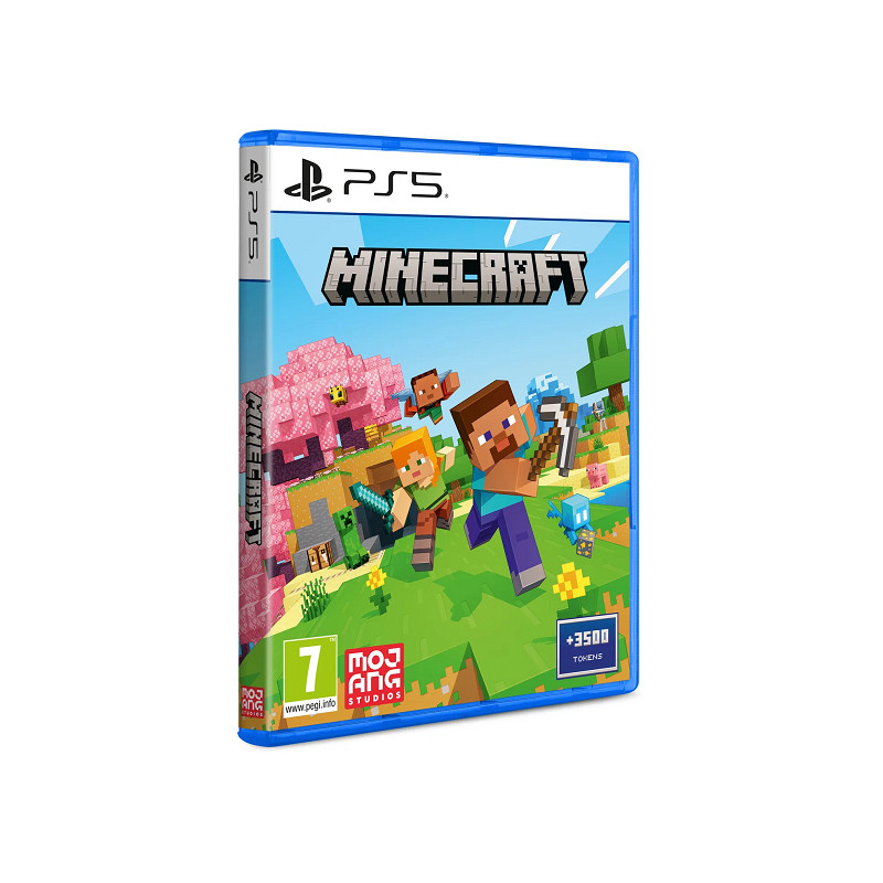 PS5 - Minecraft