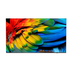 Philips/50HFL6214U/12/50''/4K UHD/Gray