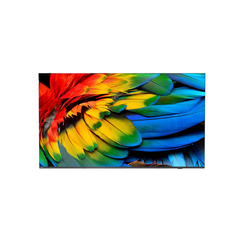 65'' HTV Philips 65HFL6214U - Business TV