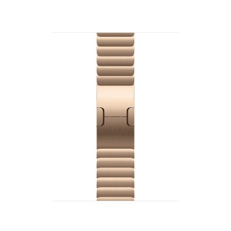 Watch Acc/42/Gold Link Bracelet