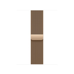 Watch Acc/42/Gold Milanese Loop