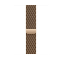 Watch Acc/46/Gold Milanese Loop - S/M