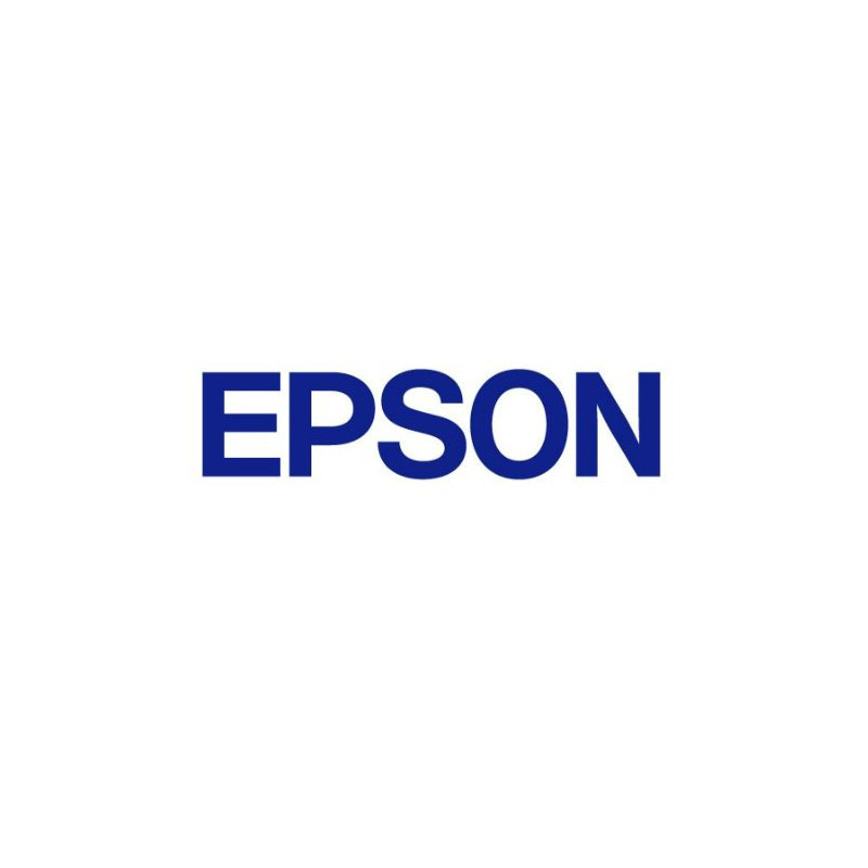 Epson High Cabinet P1