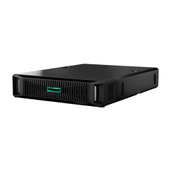 HPE DL145 G11 8024P, 32GB, NS204i-u