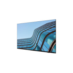 Lenovo ThinkVision E55 54,6''/16:9/3840x2160/8ms