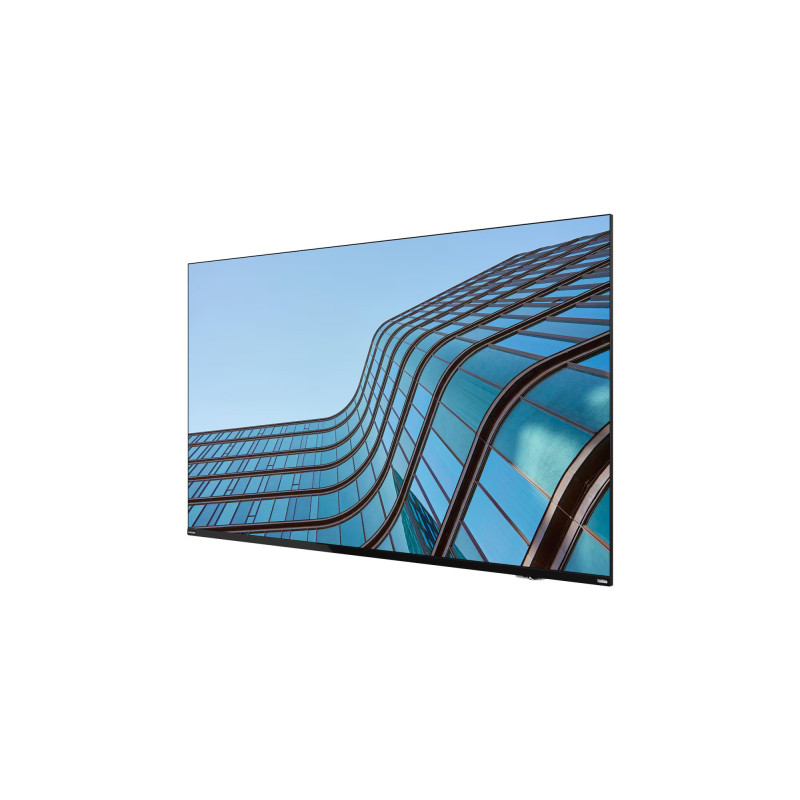 Lenovo ThinkVision E55 54,6''/16:9/3840x2160/8ms