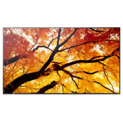 50'' LED SHARP M502,3840x2160,24/7