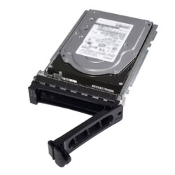 Dell/2,4TB/HDD/3.5''/SAS/10K RPM/1R