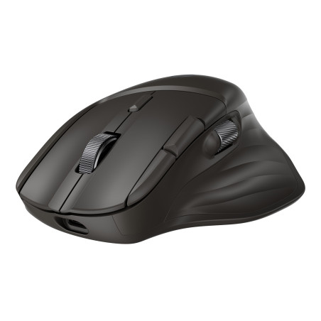HP Ultra-Fast Scroll Wireless Mouse 785 EURO