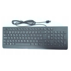 Lenovo Essential Wired Keyboard/Drátové USB-A/CZ/SK/Černá