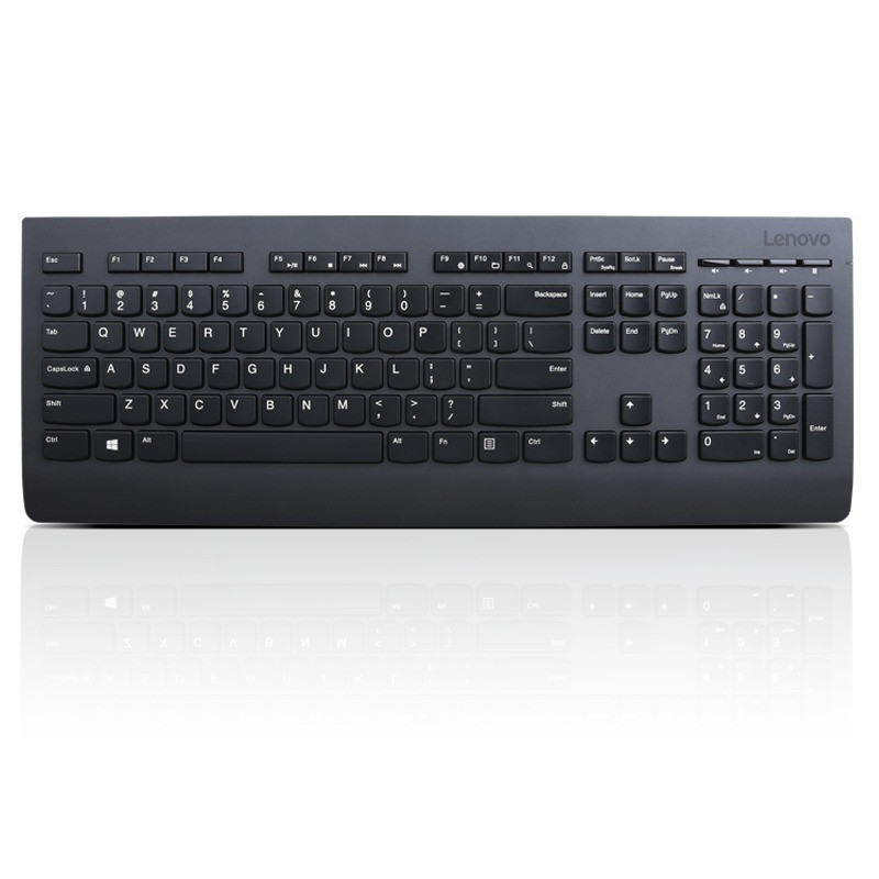 Lenovo Professional Wireless Keyboard/Bezdrôtové USB/CZ/SK/Černá