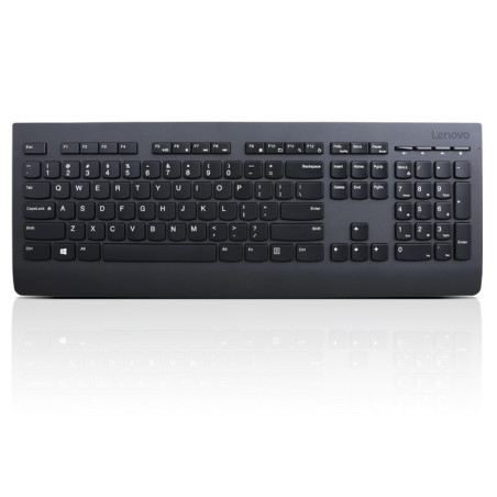 Lenovo Professional Wireless Keyboard/Bezdrôtové USB/CZ/SK/Černá
