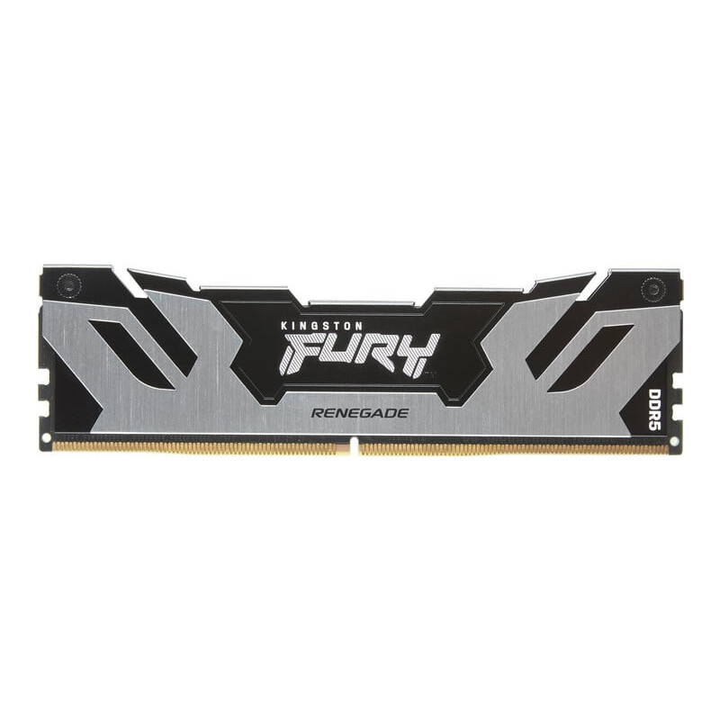 Kingston FURY Renegade/DDR5/16GB/7600MHz/CL38/1x16GB/Black/Silv