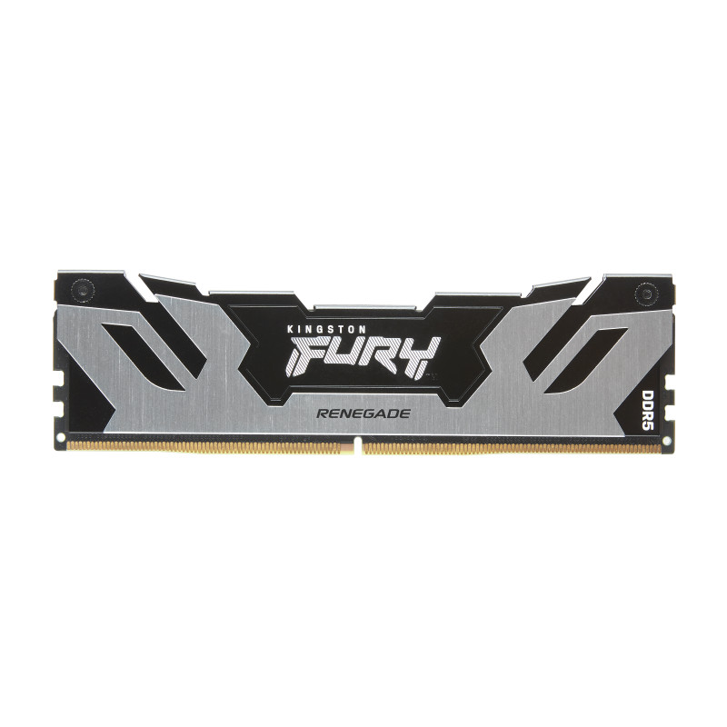 Kingston FURY Renegade/DDR5/16GB/7200MHz/CL38/1x16GB/Black/Silv