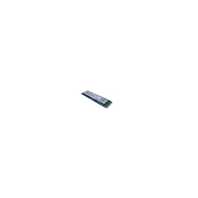 Lenovo ThinkPad/1TB/SSD/M.2 NVMe/1R