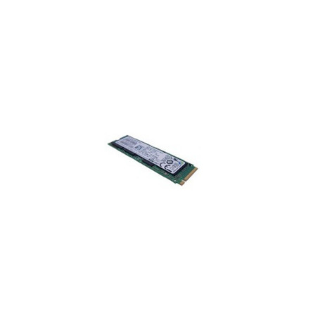 Lenovo ThinkPad/1TB/SSD/M.2 NVMe/1R