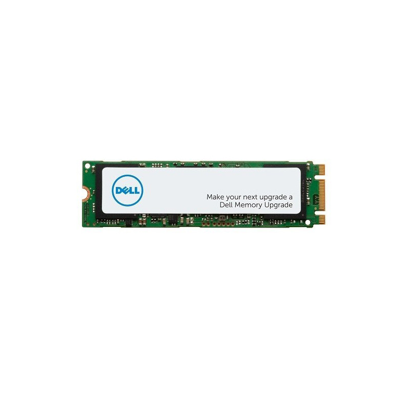Dell/1TB/SSD/M.2 NVMe/1R