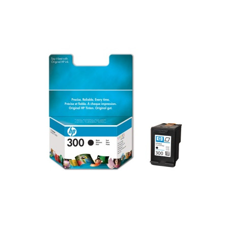 HP 300 - čierna atramentová kazeta, CC640EE
