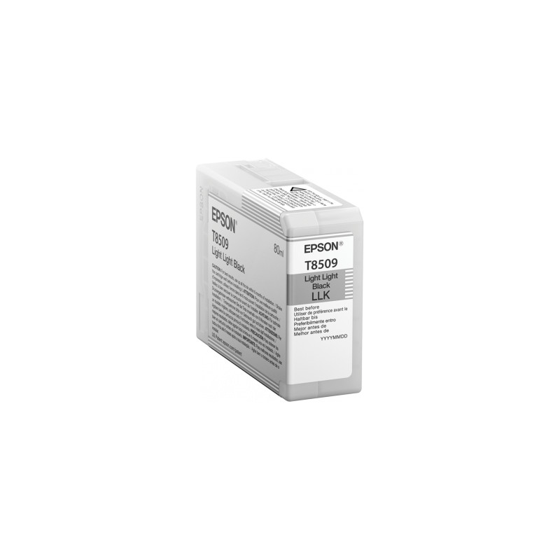 Epson Singlepack Photo Light Light Black T850900 UltraChrome HD ink 80ml