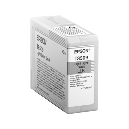 Epson Singlepack Photo Light Light Black T850900 UltraChrome HD ink 80ml