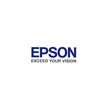 Epson Maintenance Box C869