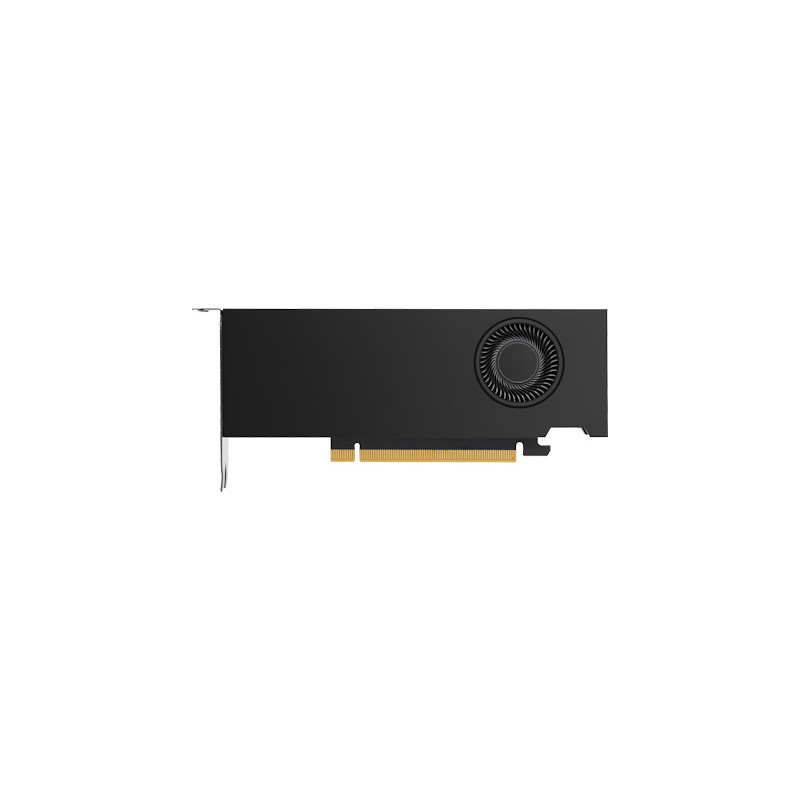 HP NVIDIA RTX A2000 12GB 4mDP GFX
