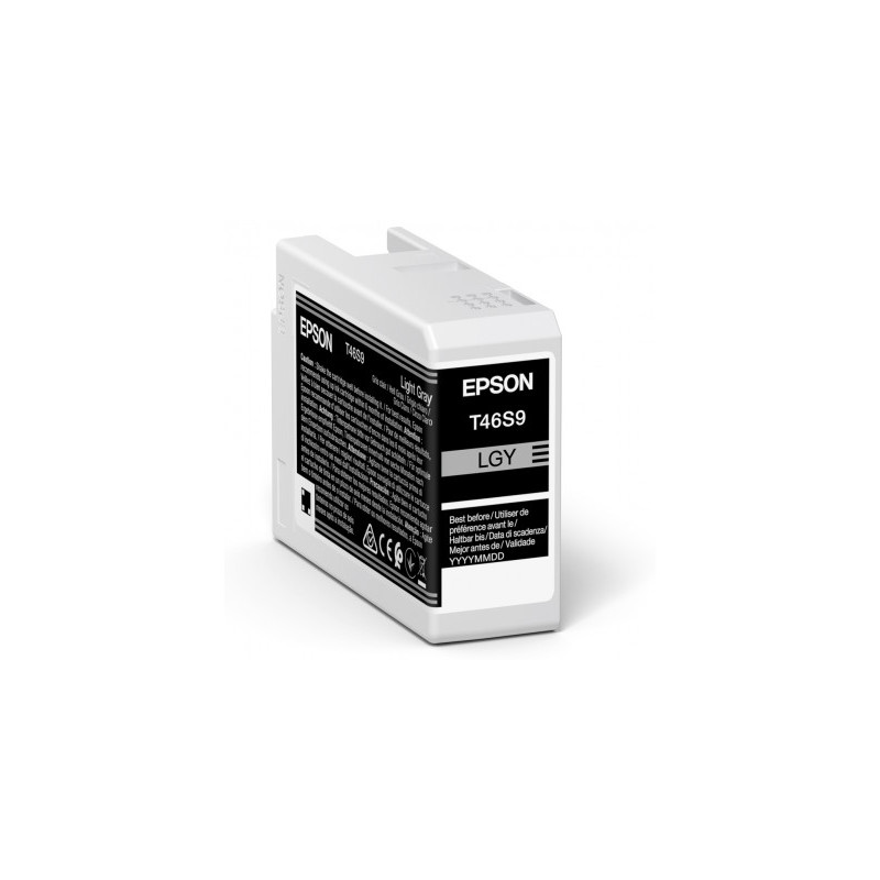 Epson Singlepack Light Gray T46S9 Ultrachrome