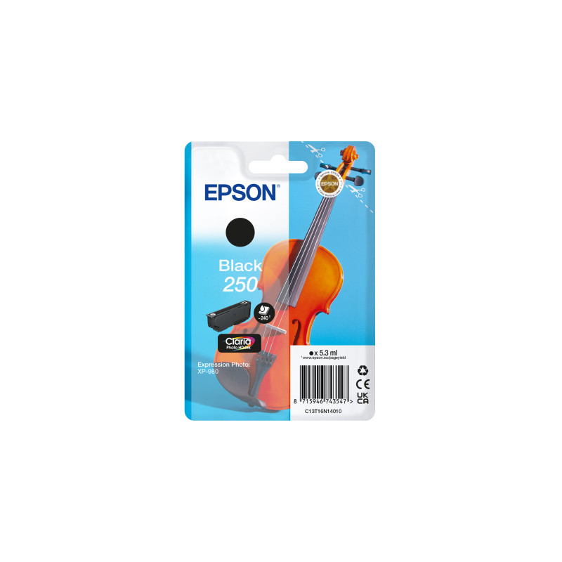Epson Singlepack Black 250 ink