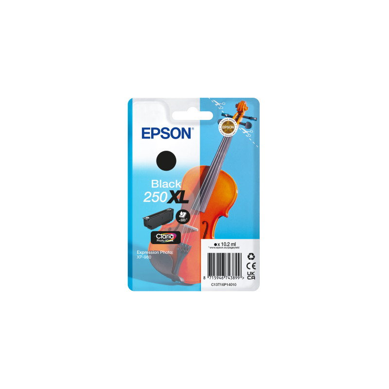Epson Singlepack Black 250XL ink