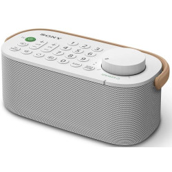Sony SRS-LSR200/Mono/2W/Sivá