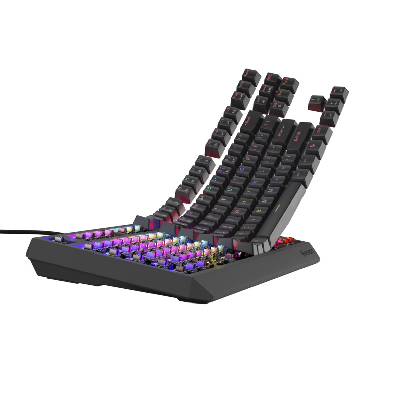 Genesis herná klávesnica THOR 230/TKL/RGB/Outemu Brown/Drôtová USB/US layout/Čierna