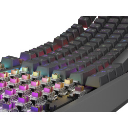 Genesis herná klávesnica THOR 230/TKL/RGB/Outemu Brown/Drôtová USB/US layout/Čierna
