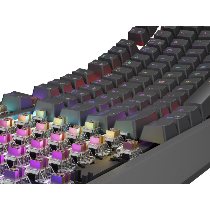 Genesis herná klávesnica THOR 230/TKL/RGB/Outemu Brown/Drôtová USB/US layout/Čierna