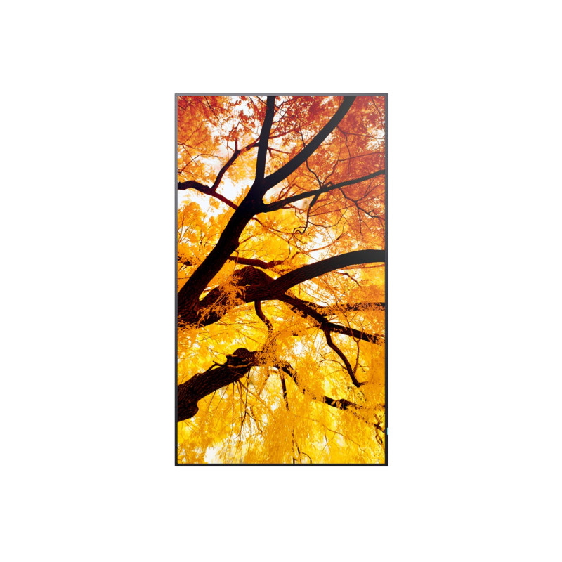 SHARP/NEC - 43'' LED SHARP M432,3840x2160,IPS,24/7,500cd