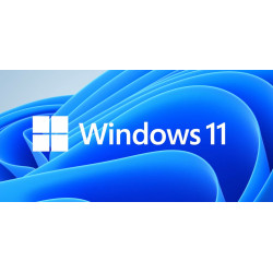 MICROSOFT - MS Windows 11 Professional 64-bit Slovak 1pk OEM DVD